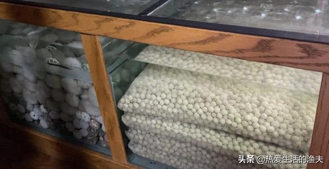 全部生化棉可以吗:鱼缸不放生化棉，放细菌屋可以吗？