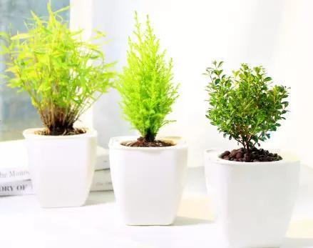 奶茶mm资料:章泽天为什么要起诉知乎？