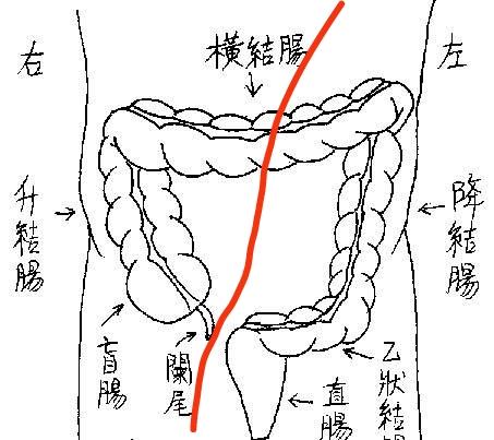 肠梗塞会腹泻:三岁宝宝肠梗堵刚好，大便太干燥，一粒一粒的，怎么办？