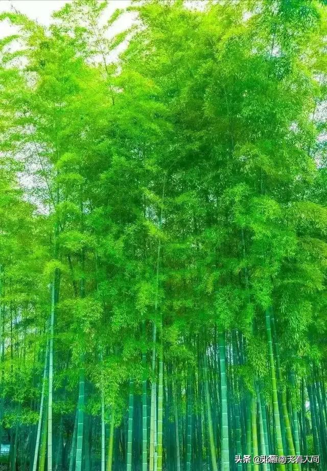 佛手掌快刀乱麻:一个单位上班遇到个喜欢你你却不喜欢他的人怎么办？