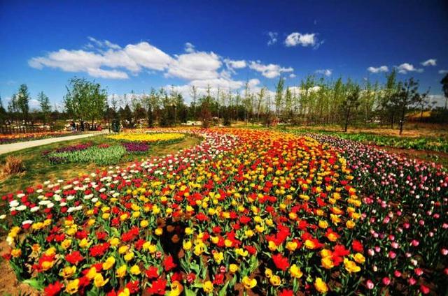 北京郊区<a href=https://maguai.com/list/52-0-0.html target=_blank class=infotextkey>旅游</a>:北京郊区<a href=https://maguai.com/list/52-0-0.html target=_blank class=infotextkey>旅游</a>景点大全排名是咋样的？
