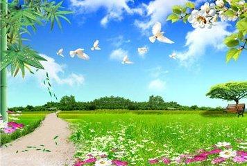 春天给人的感受是什么？