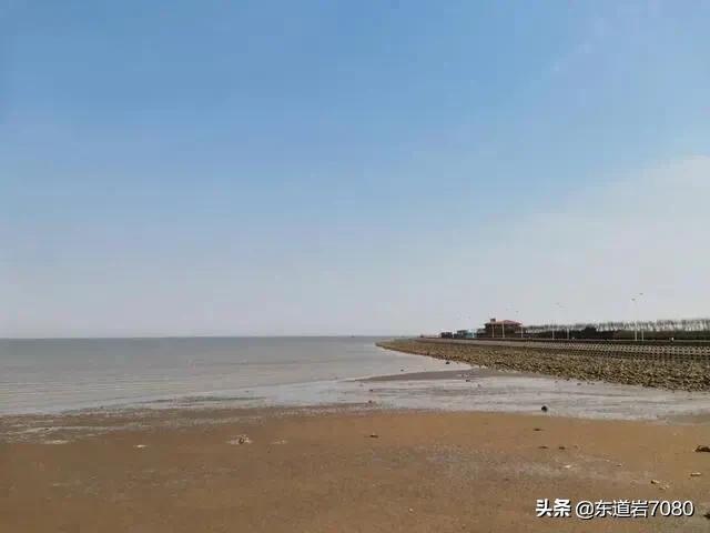 天津滨海獒园:去天津东疆湾沙滩玩，需要注意什么吗？