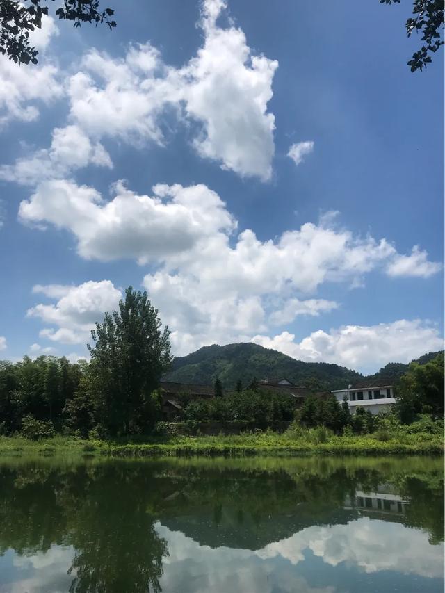 蓝环章鱼网上当宠物卖:对于家里有个爱钓鱼的老公，你怎么看？