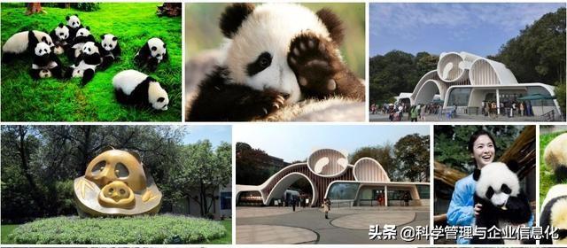 成都哪里最好玩？有何旅游攻略分享呢？:三岔湖长岛天堂洲际酒店 第12张