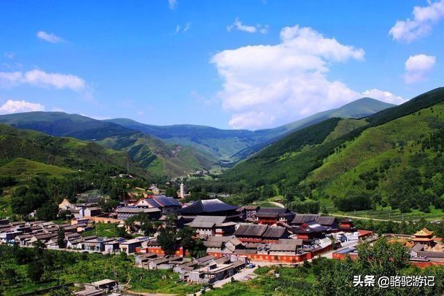 左权简介:古代历史上有哪些比较可惜的短命人物？