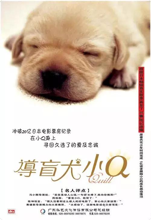 狗狗与我的十个约定电视剧:关于犬的都有什么电影和电视剧？