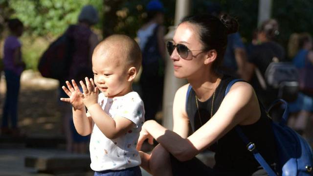 袁咏仪喊话张智霖:张智霖袁咏仪唯一的矛盾竟是教育儿子，你怎么看？