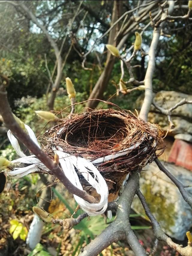 索牧个人资料:天津排管中心主任李姗，堪称郎平之后中国排坛第二女强人吗？