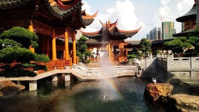 玉林荔枝狗肉节:广西玉林狗节能被取消吗？ 玉林荔枝狗肉做法