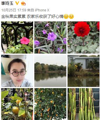 李玲玉简历:曾经的甜歌皇后和最美玉兔精李玲玉，现状如何