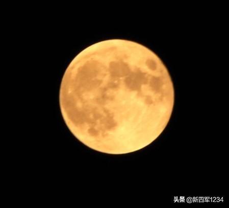 美国鸟类摄影:摄影爱好者拍鸟都使用什么镜头？ 美国鸟类 电影