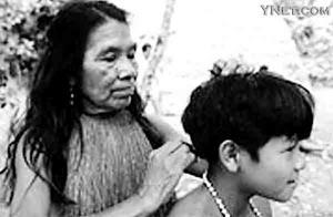 百部可以杀虱子跳蚤吗:古代人怎么去除头上身上的小动物？