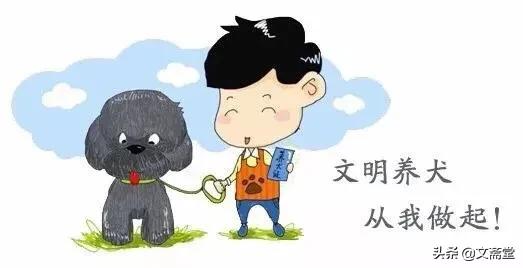 襄阳宠物吧:襄阳有哪些宠物医院？具体地址是在哪？