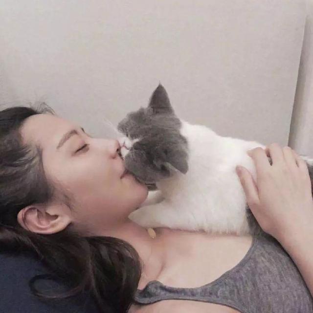 孕妇养猫的好处和坏处:请问一下，要准备怀孩子，家里就不能养猫咪吗？