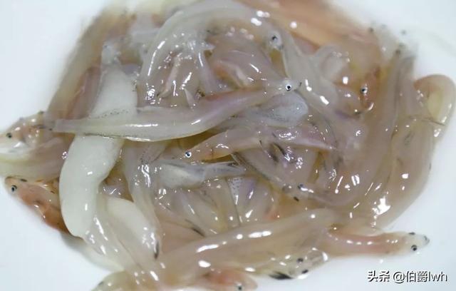 海鱼的做法大全:渤海湾的海鲜都有什么，海鲜都有什么做法？