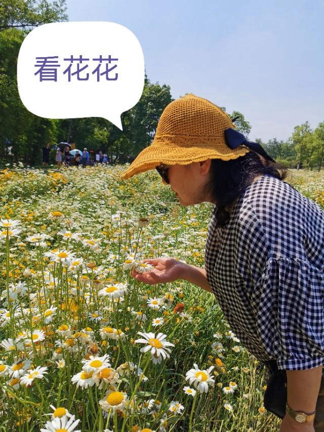 锤子你个铲铲:为什么四川人说话喜欢用叠词？