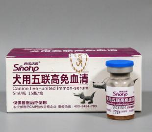 狗狗健康成长100问:除了狗粮，吃什么食物可以给狗狗健康？
