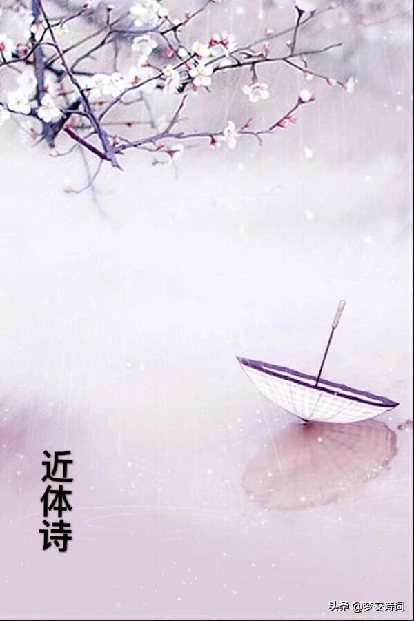 近体诗分为哪两种？如何赏析？