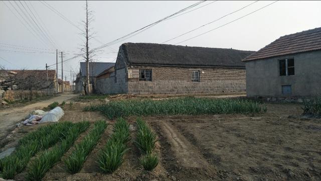 极端pp大狗窝团购预定:做什么生意能在县城能年入百万？