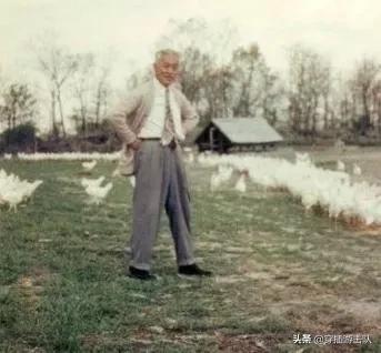 蒋宋孔陈四大家族:《红楼梦》中四大家族谁家势力最大、最有钱？