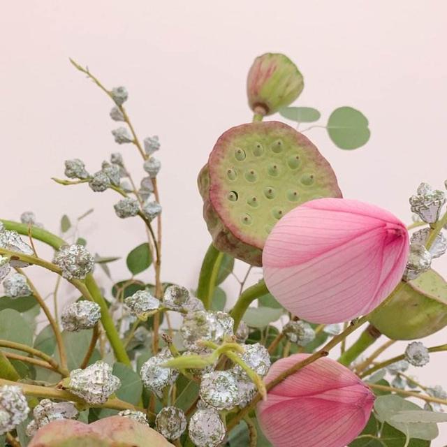 头条问答 休眠后的狗芽花什么时间发芽 如何养护 小诗诗vlog的回答 0赞