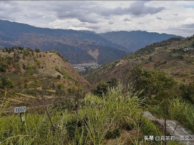 茶叶分装小袋,家庭存茶，哪些地方更适宜？