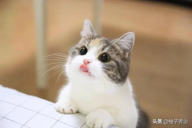 有没有一部电影让你感动到哭？