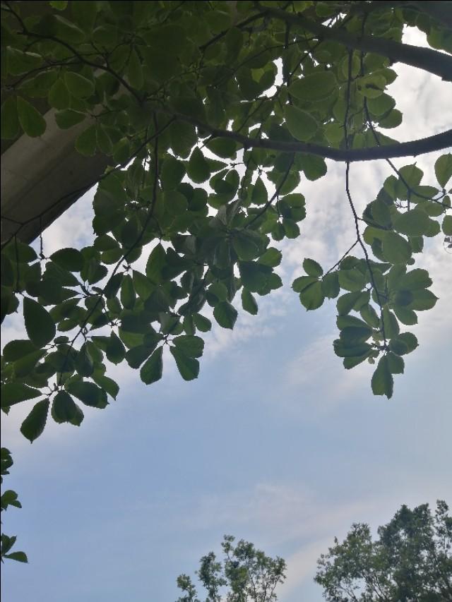 成功人士的<a href=https://maguai.com/list/256-0-0.html target=_blank class=infotextkey><a href=https://maguai.com/list/256-0-0.html target=_blank class=infotextkey>朋友圈</a></a>真实:你身边的人身上都发生过哪些真实的成功创业故事？(创业真实人的成功故事)