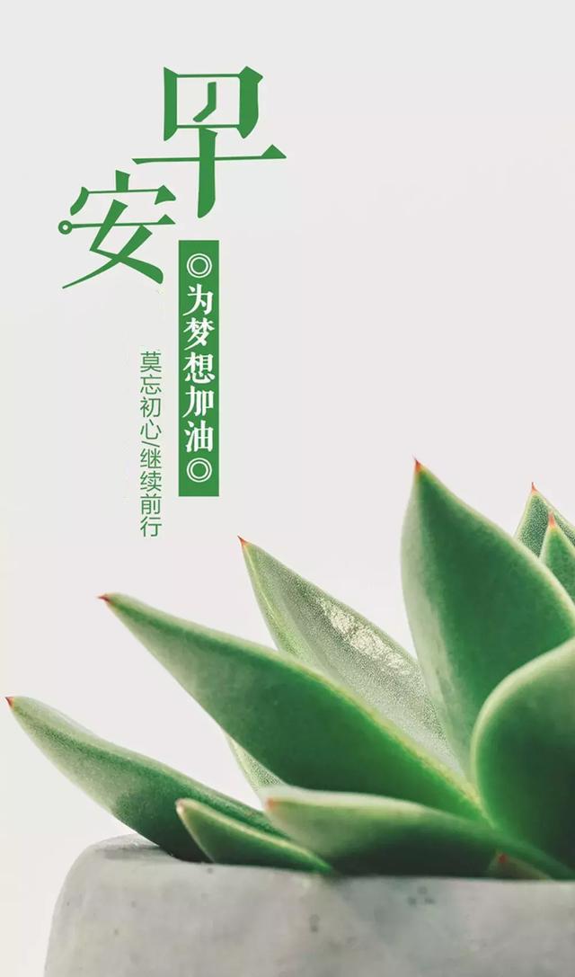 微信搜zaoshanghao200關注,更多勵志好句子和圖片!