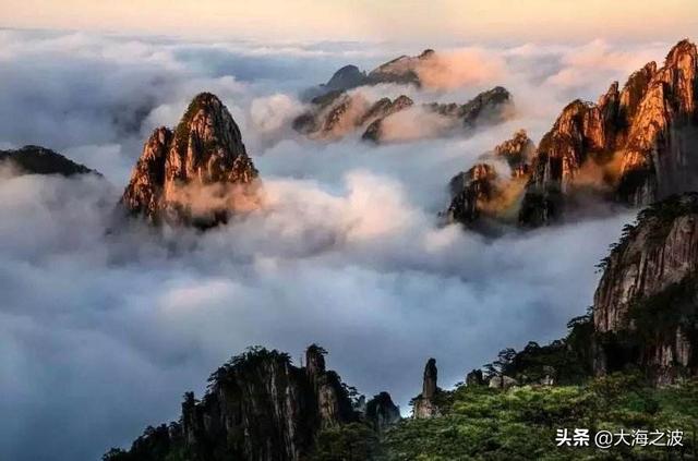 黄山奇松介绍:挂在悬崖峭壁上的黄山十大名松！指的是那十大名松？因什么得名？