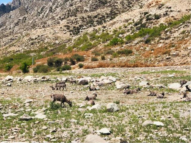 银川必去的五大景点有哪些？插图11