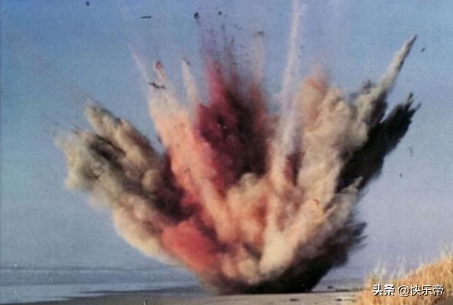 鲸鱼爆炸:全国仅找到一例在南海，罕见的鲸落，世界最浪漫的死亡名不虚传？