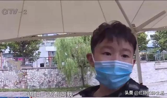 小孩狗:青岛一6岁男童被狗惊倒，满脸是血，狗主人扬长而去，怎么回事？ 小孩狗都嫌的年龄