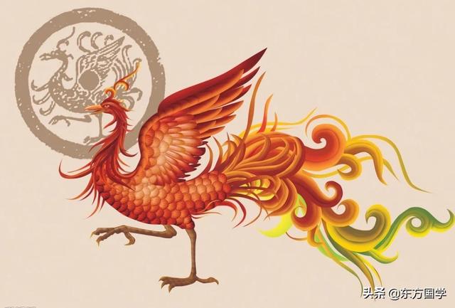 孔子鸟价值多少钱:我感觉始祖鸟的产品并不好看，它为什么卖那么贵？