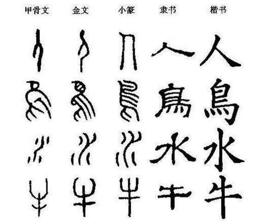 为什么东亚汉字文化圈的一些国家要去汉字化 恒澍儿童阅读