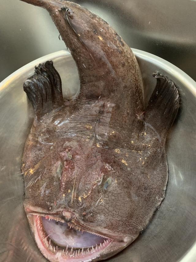 头条问答 - 清蒸魔鬼鱼做法?(11个回答)