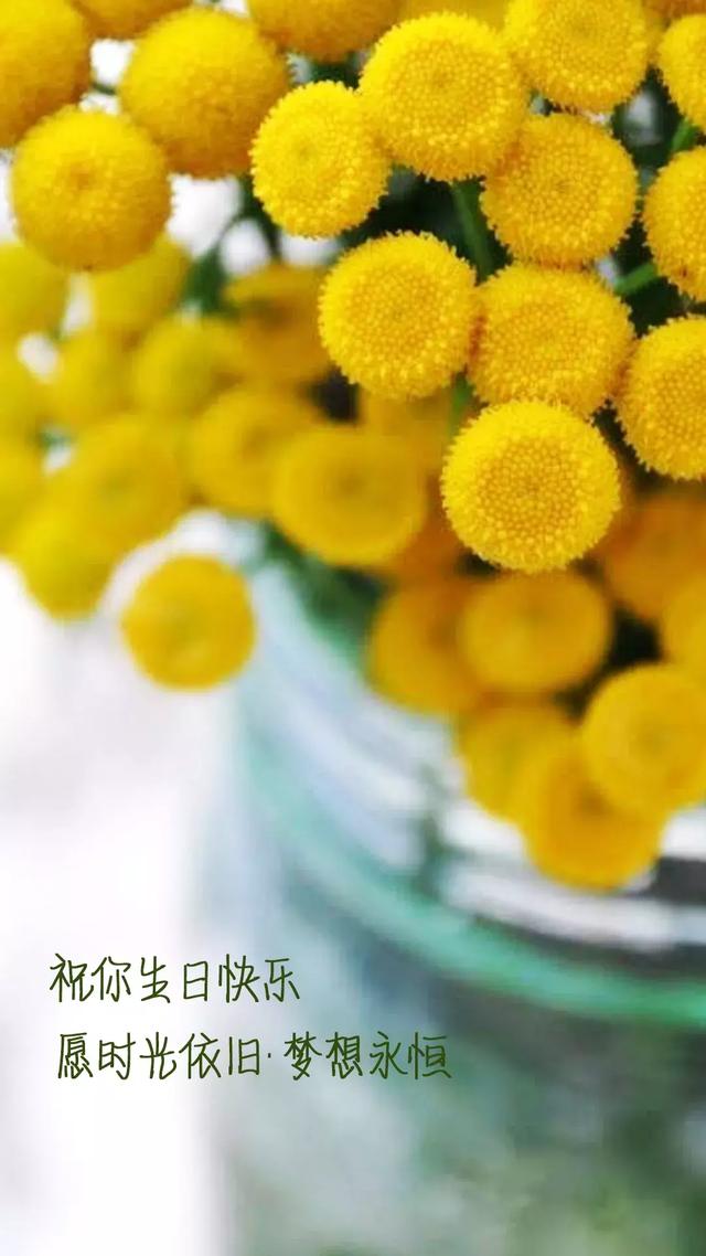 抖音上超火生日短句祝福语