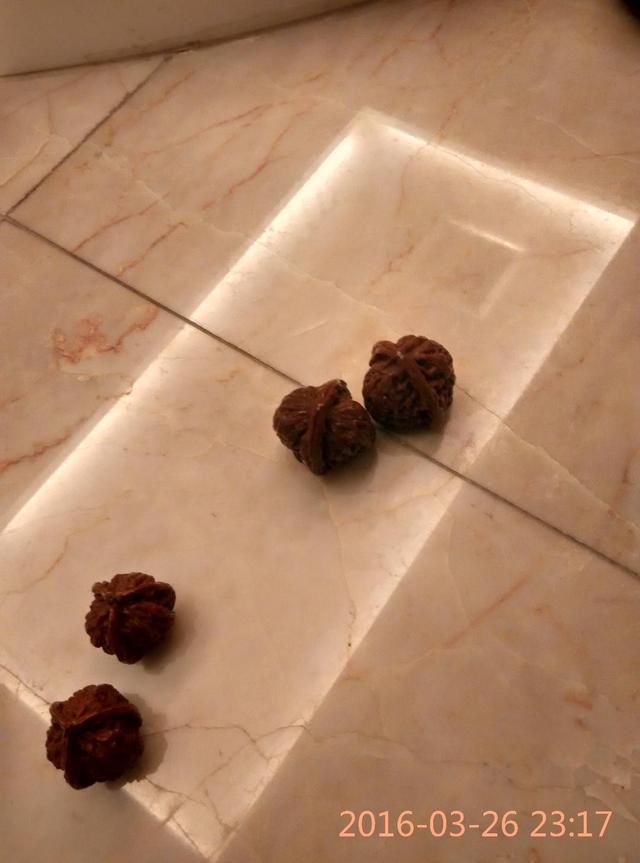 文玩什么叫开脸:大家说的猫咪开脸是什么意思？