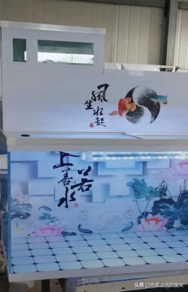 观赏鱼鱼缸批发:菜鸟养鱼，想买个水族箱，都需要配套买什么？