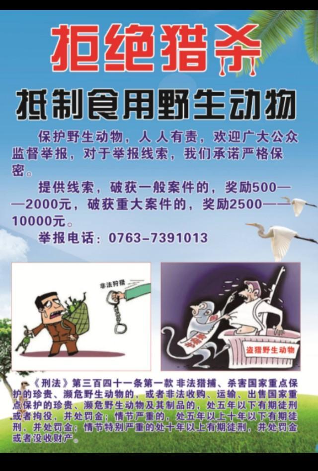 追踪那野兽:中国土地上为何很少有大型猛兽了？