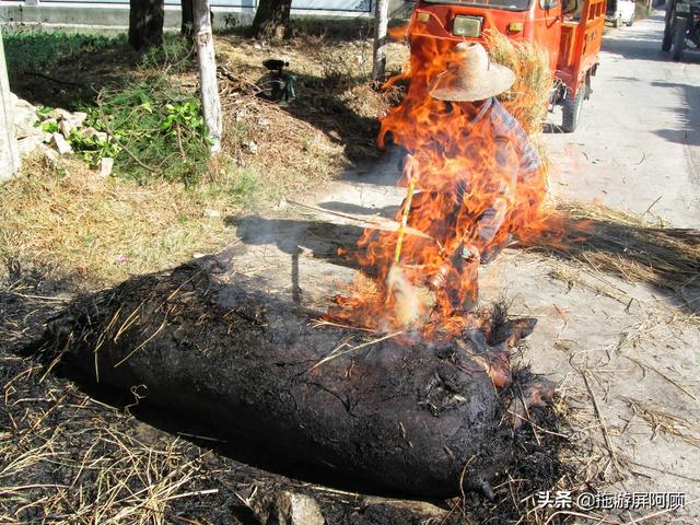 变态linglei:时代使然还是基因遗传，为何南朝皇帝多变态？