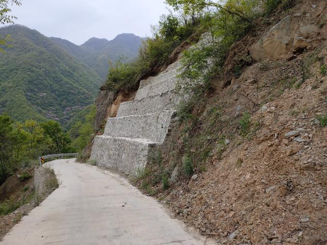 新藤惠美:地里长了许多葛根藤，怎么清除？