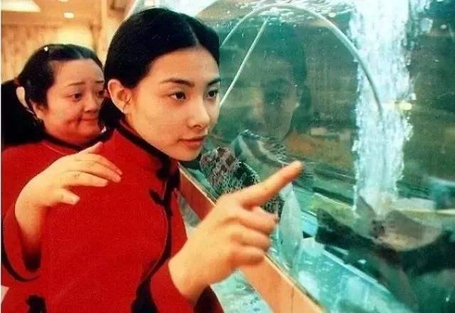 张锦程:请问有啥好看的电视剧可以推荐一下，要甜的，现代偶像剧，谢谢？