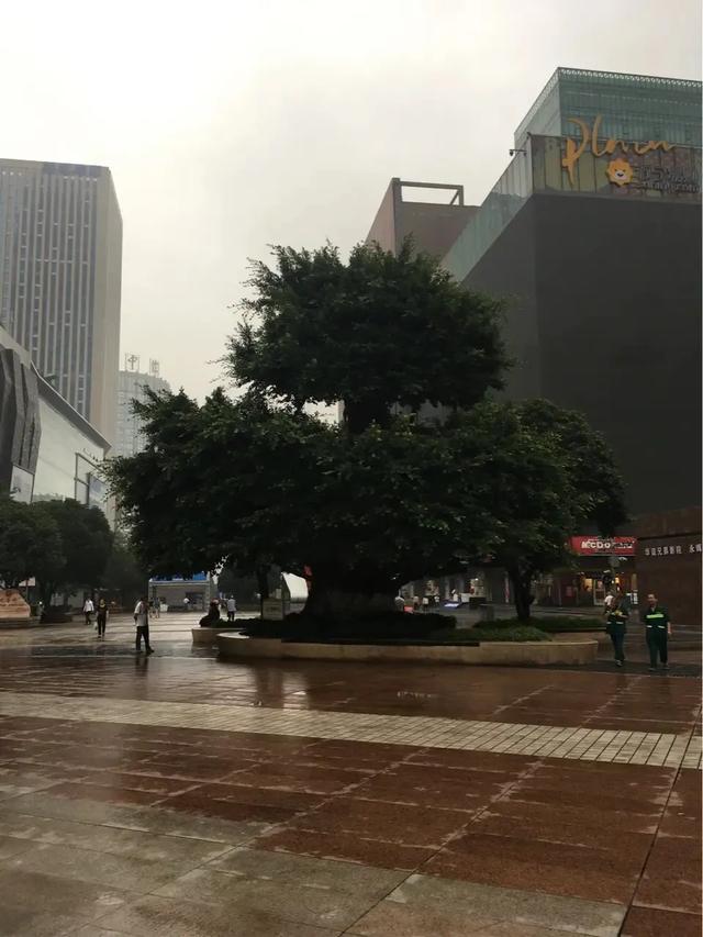 有哪些读起来岁月静好的诗词？
