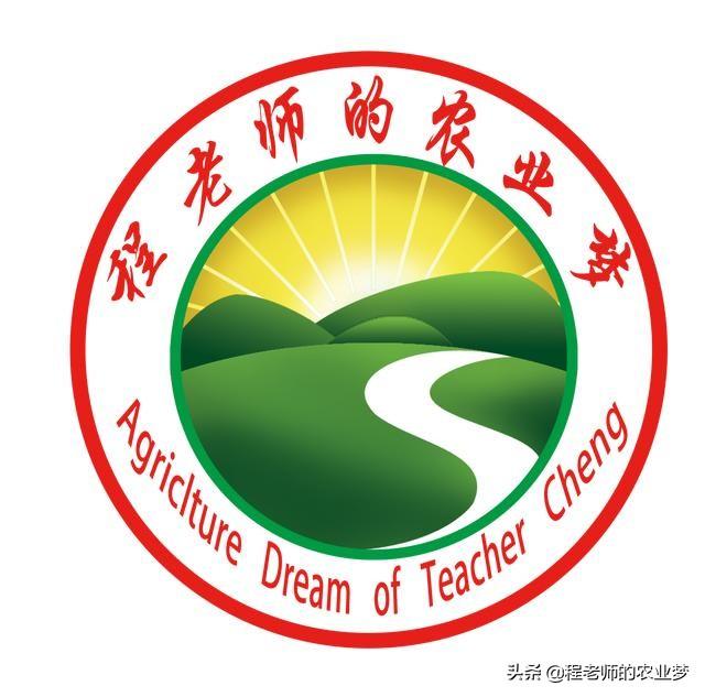 花叶芋根结线虫病:土壤里生了根线虫，该怎么办？