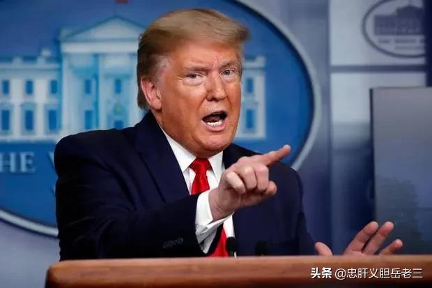 塞尔维亚三色犬猎兔:如何看待塞尔维亚迅猛平息暴乱呢？ 塞尔维亚三色犬猎兔视频