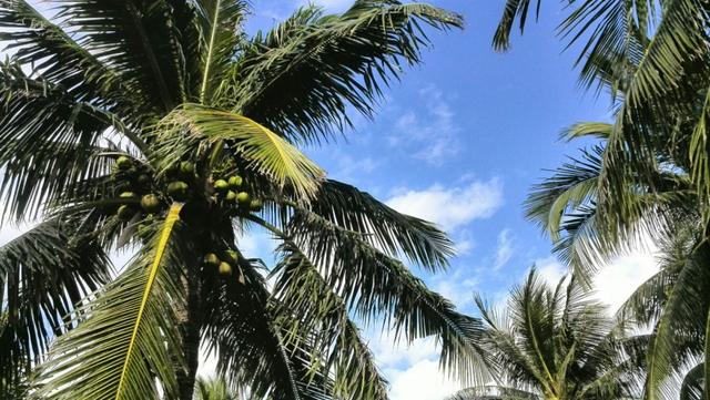 大家说说自己旅游过程中,都遇到过哪些坑？
