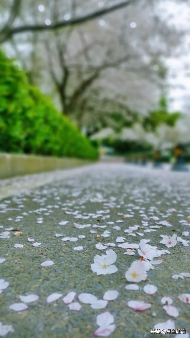 清明即事:清明写出了什么样的节日情景？