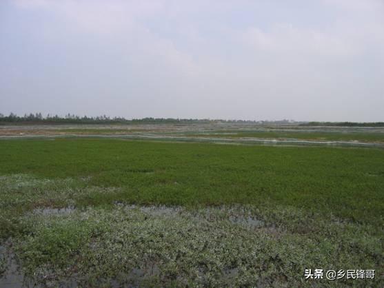 栖息:栖息的近义词 河蟹一般会栖息在什么地方？其栖息的方式又有哪几种呢？